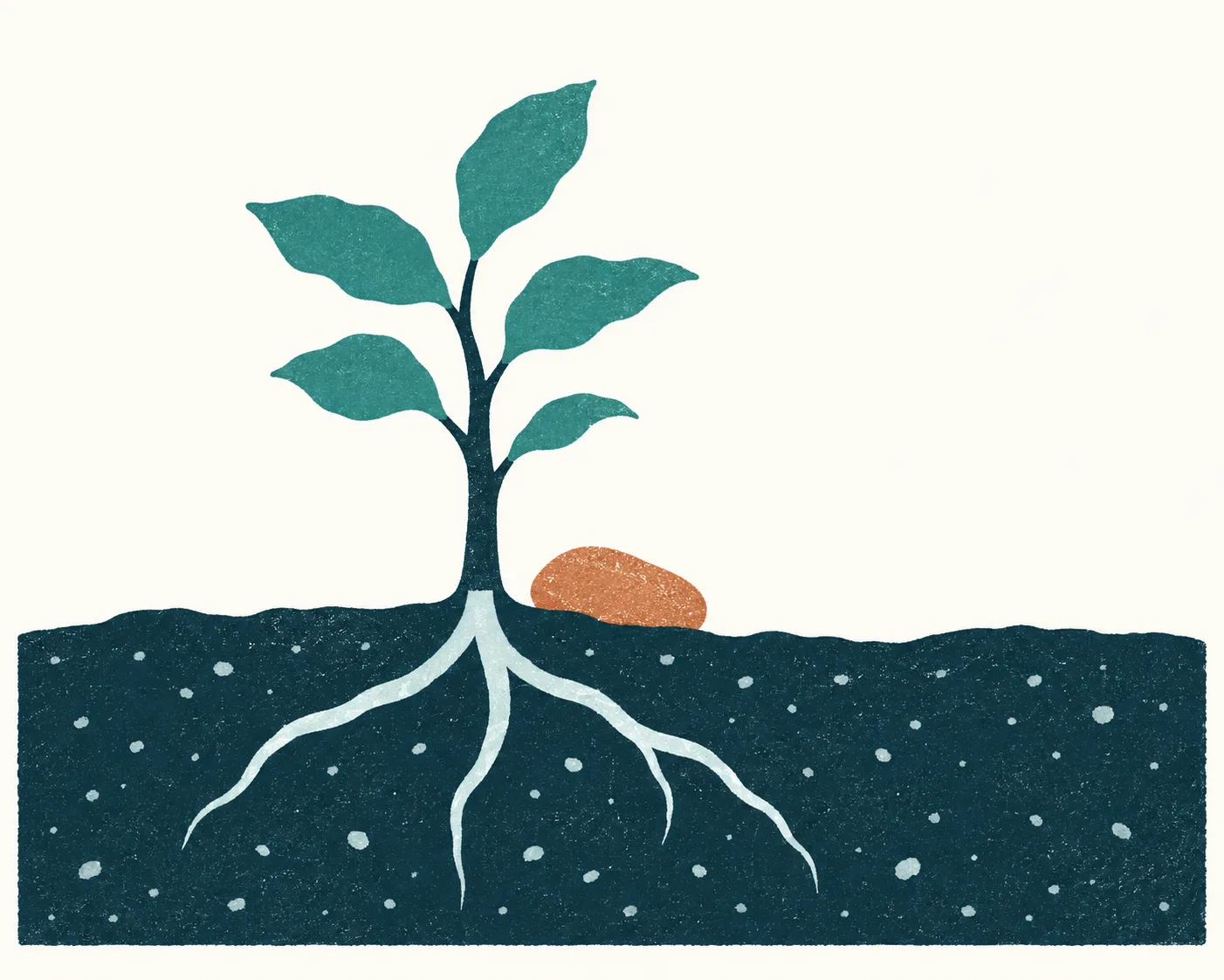 Planta joven con raíces firmes en la tierra, como una base estable para volver a morder